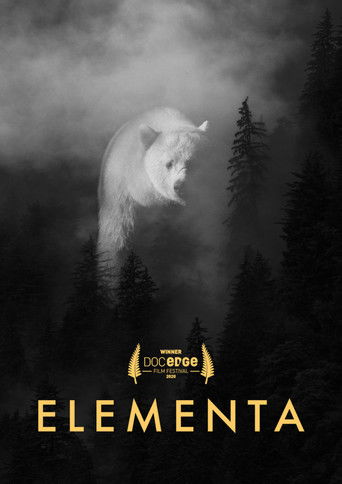 Elementa - 2020